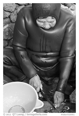 Haeneyo woman cutting seafood. Jeju Island, South Korea (black and white)
