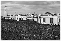 Houses with blue roofs, Seongsang Ilchulbong. Jeju Island, South Korea ( black and white)