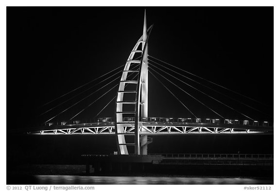 Suspension bridge with colored lights, Seogwipo. Jeju Island, South Korea (black and white)