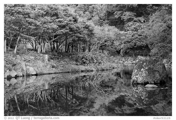 Reflections near Cheongjiyeon Pokpo, Seogwipo. Jeju Island, South Korea