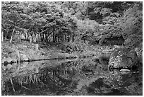 Reflections near Cheongjiyeon Pokpo, Seogwipo. Jeju Island, South Korea ( black and white)