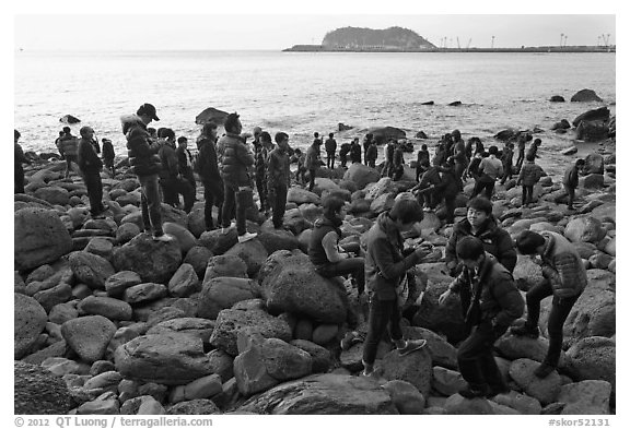 Tourists on rocky beach, Seogwipo. Jeju Island, South Korea (black and white)