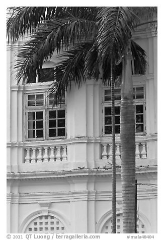 Palm and facade detail, city hall. George Town, Penang, Malaysia (black and white)