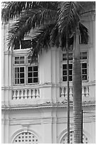 Palm and facade detail, city hall. George Town, Penang, Malaysia ( black and white)