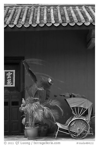 Trishaw, door, and roofing, Cheong Fatt Tze Mansion. George Town, Penang, Malaysia (black and white)