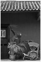 Trishaw, door, and roofing, Cheong Fatt Tze Mansion. George Town, Penang, Malaysia (black and white)