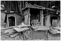 Spirit houses and banyan tree. George Town, Penang, Malaysia ( black and white)