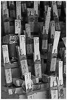 Sticks with names in Chinese characters, Kuan Yin Teng temple. George Town, Penang, Malaysia (black and white)
