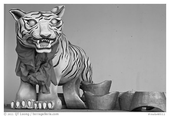 Ceramic Tiger, Hock Tik Cheng Sin Temple. George Town, Penang, Malaysia (black and white)