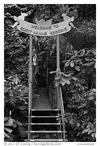 Gate, Bukit Nanas Reserve. Kuala Lumpur, Malaysia (black and white)