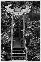 Gate, Bukit Nanas Reserve. Kuala Lumpur, Malaysia (black and white)