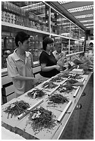 Chinese medicine herbs being packed on counter. Kuala Lumpur, Malaysia (black and white)