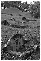 Chinese graves on hillside, Bukit China cemetery. Malacca City, Malaysia (black and white)