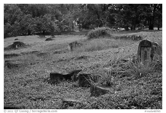 Chinese tombstones, Bukit China cemetery. Malacca City, Malaysia