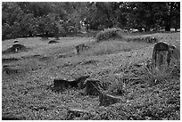 Chinese tombstones, Bukit China cemetery. Malacca City, Malaysia (black and white)