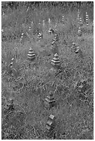 Low-profile islamic tombstones. Malacca City, Malaysia (black and white)