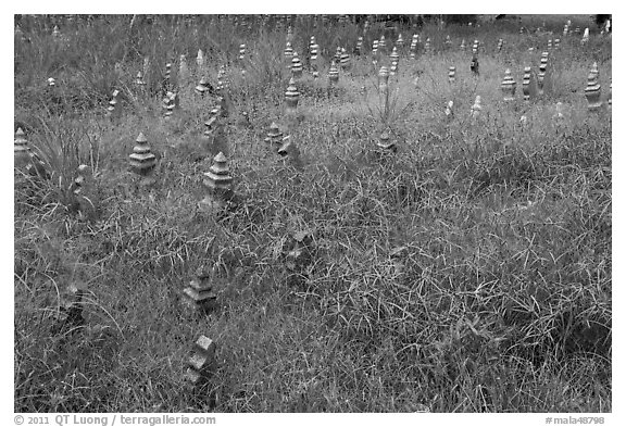 Low-profile muslim gravestones. Malacca City, Malaysia (black and white)
