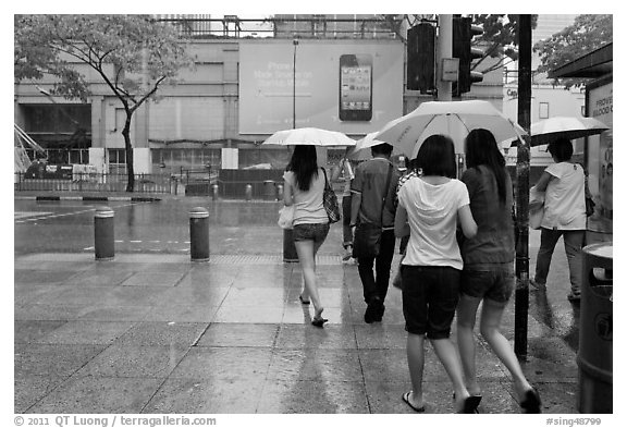 Women walking under unbrella during downpour. Singapore