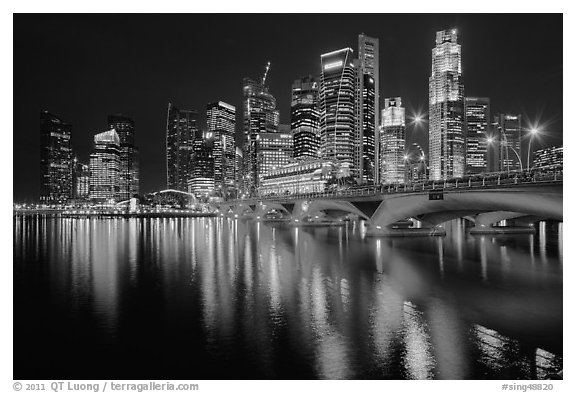 Bridge and Singapore skyline at night. Singapore (black and white)