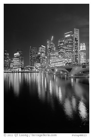 Bridge and city skyline at night. Singapore