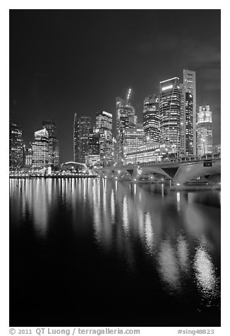 Bridge and city skyline at night. Singapore (black and white)