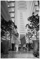 Potted trees inside Marina Bay Sands hotel. Singapore (black and white)