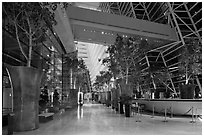 Potted trees, Marina Bay Sands hotel lobby. Singapore (black and white)