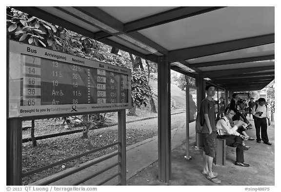 Bus stop with displays with expected wait time. Singapore (black and white)