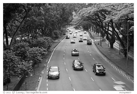 Expressway bordered by trees. Singapore