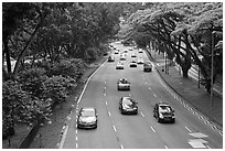 Expressway bordered by trees. Singapore (black and white)