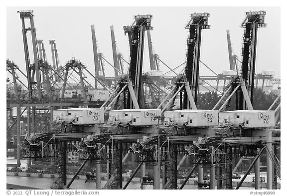 Cranes. Singapore (black and white)