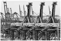 Cranes. Singapore ( black and white)