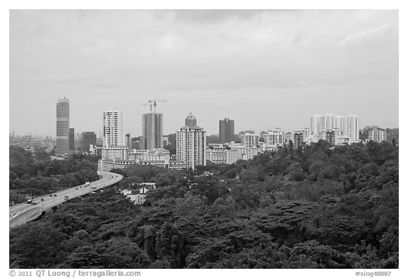 Forested park and high-rise towers. Singapore