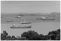 Large cargo ships, Singapore Strait. Singapore ( black and white)