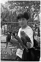 Man holding many parakeets on arm, Sentosa Island. Singapore (black and white)