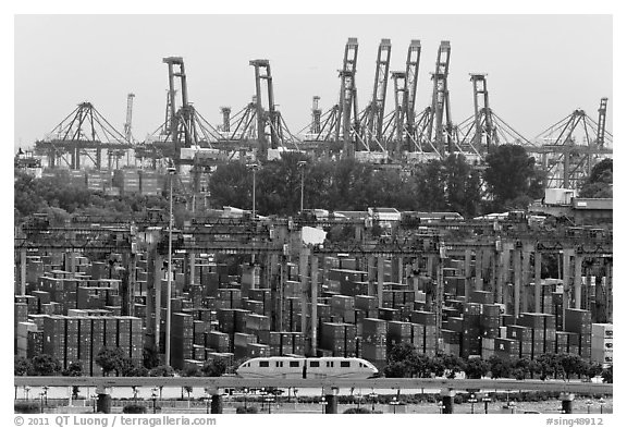 Monorail, countainers, and cranes. Singapore (black and white)