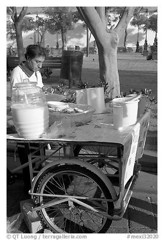 Food vendor with a wheeled food stand. Guadalajara, Jalisco, Mexico (black and white)