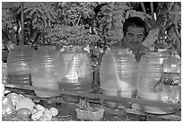 Multicolored drinks offered on a street stand. Guadalajara, Jalisco, Mexico (black and white)