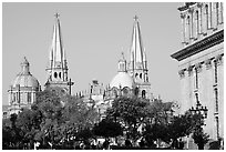 Cathedral seen across Plazza dela Liberacion. Guadalajara, Jalisco, Mexico (black and white)