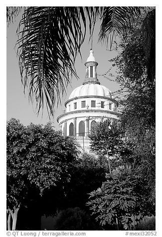 Cathedral dome seen from the park, Tlaquepaque. Jalisco, Mexico (black and white)