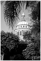 Cathedral dome seen from the park, Tlaquepaque. Jalisco, Mexico (black and white)