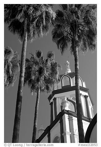 Church and palm trees, Tlaquepaque. Jalisco, Mexico (black and white)