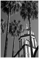 Church and palm trees, Tlaquepaque. Jalisco, Mexico ( black and white)