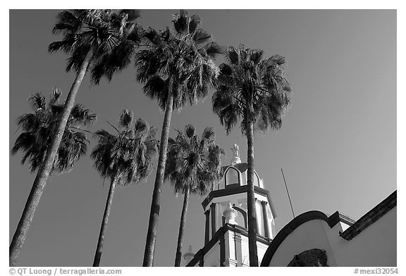 Church and palm trees, Tlaquepaque. Jalisco, Mexico (black and white)