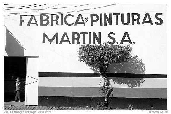 Colorful stripes on wall, tree, and girl, Tlaquepaque. Jalisco, Mexico (black and white)