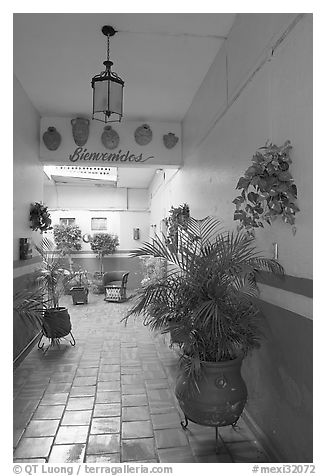 Entrance patio of La Posada bed and breakfast, Tlaquepaque. Jalisco, Mexico (black and white)