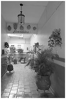 Entrance patio of La Posada bed and breakfast, Tlaquepaque. Jalisco, Mexico ( black and white)