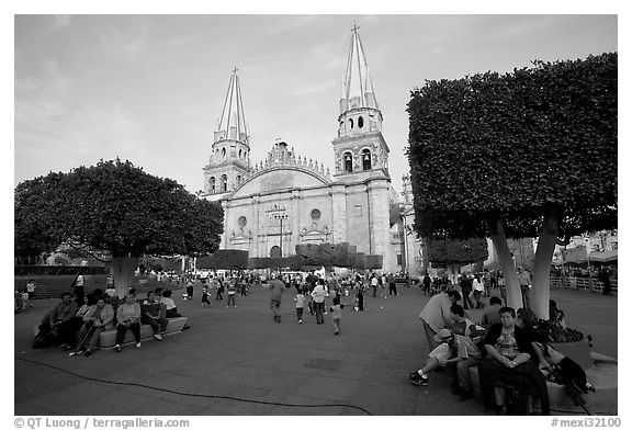 Plaza de los Laureles, planted with laurels, and Cathedral. Guadalajara, Jalisco, Mexico (black and white)