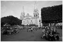 Plaza de los Laureles, planted with laurels, and Cathedral. Guadalajara, Jalisco, Mexico ( black and white)