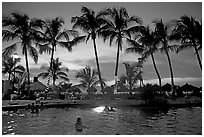 Palm-tree fringed swimming pool at sunset, Nuevo Vallarta, Nayarit. Jalisco, Mexico (black and white)